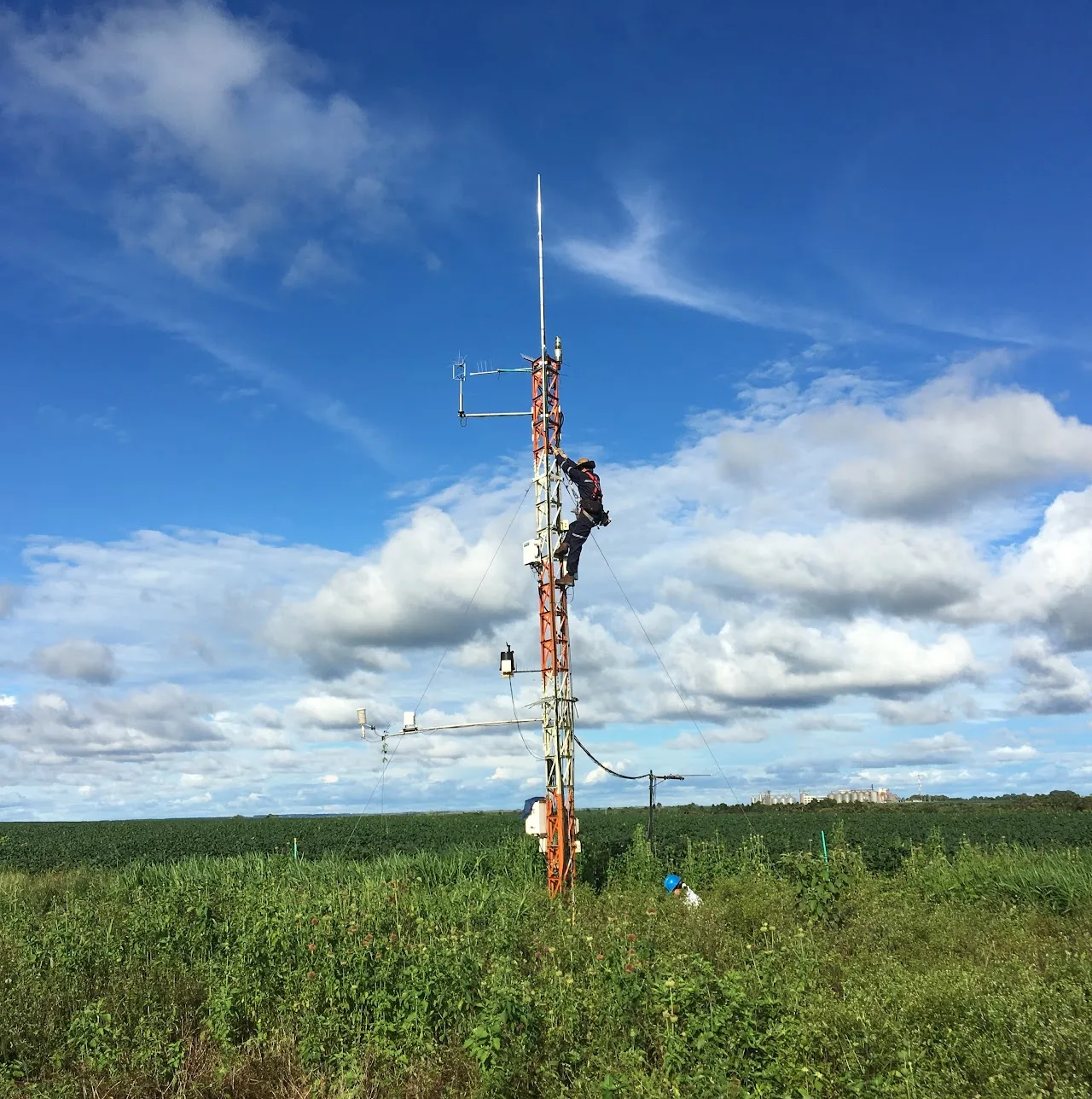 Sistema de Eddy covariance en cultivo de la Orinoquia — SLC Association
